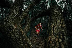 BIB: 
                            <button type="button" onclick="openModal(25691362)" class="btn btn-primary btn-sm float-right btn-popup" data-toggle="modal" data-target=".modal-high-quality">
                        <i class="fas fa-shopping-cart"></i> Add to Cart
                    </button>
                                            <button type="button" onclick="isThisMe(25691362, true)" class="btn btn-success btn-sm float-right btn-popup btn-isme hidden" data-toggle="tooltip" data-placement="bottom" title="นี่คือรูปของคุณใช่ไหม คลิกที่นี่เพื่อเอาเข้าอัลบั้ม">
                        <i class="fas fa-plus"></i> Add to album
                    </button>
                    <button type="button" onclick="isThisMe(25691362, false)" class="btn btn-warning btn-sm float-right btn-popup btn-isnotme hidden">
                        <i class="fas fa-ban"></i> Remove from album
                    </button>